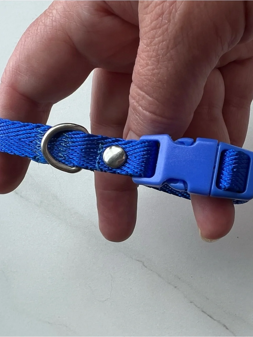 Adjustable Royal Blue Nylon Pet Collar